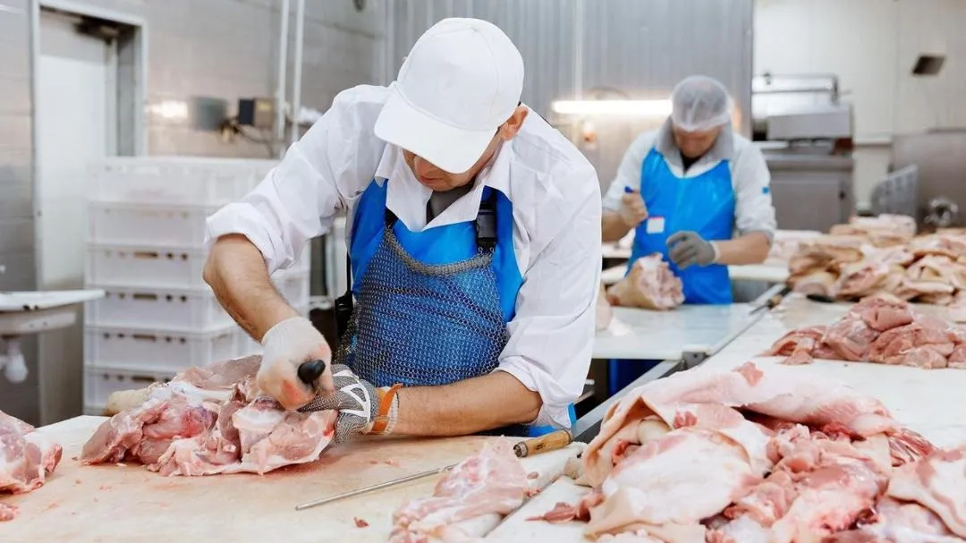 Казахстан упростит экспорт: с Китаем заработает «зелёный коридор» для пищевой продукции